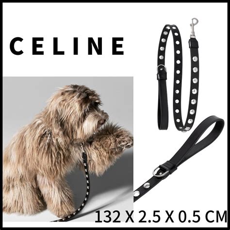 celine pet accessories.